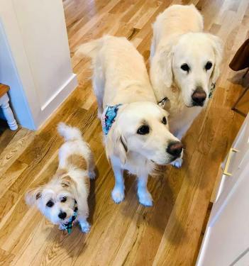 82231243_2877382948965606_2424175727654993920_n